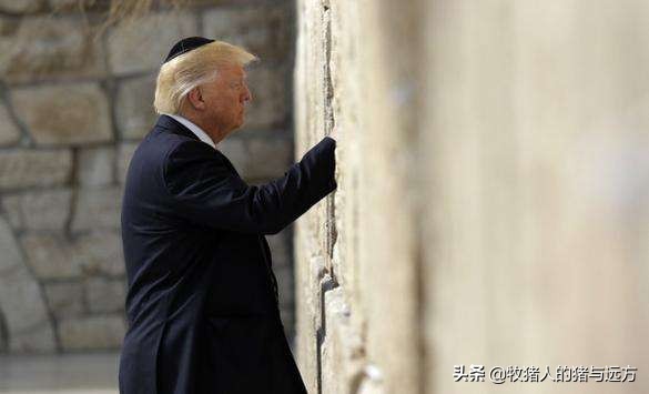 宫玉海商朝人,宫玉海简介