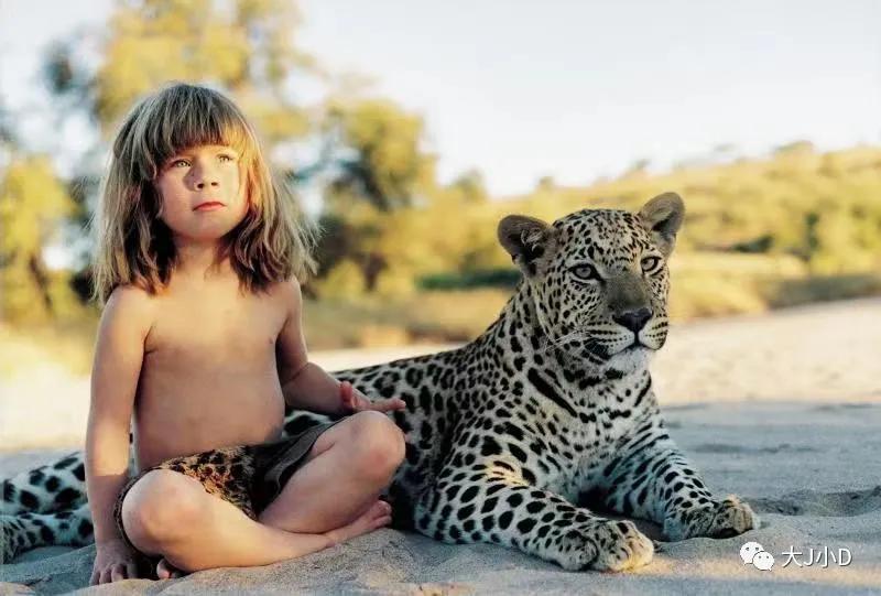 大班经典绘本推荐,国际获奖幼儿经典绘本推荐