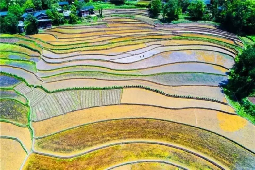 恩施，凭什么持续美哭全国，惊艳世界？