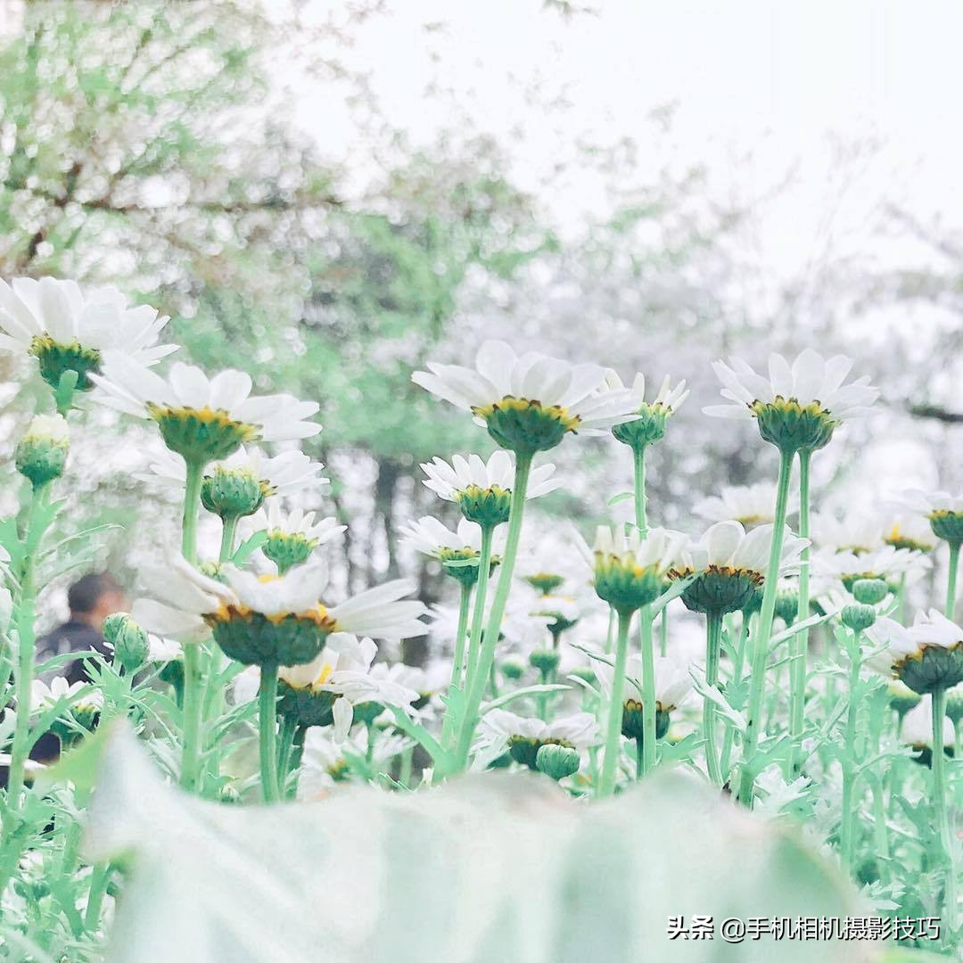 照片偏黄怎么调回正常,怎么把一张偏黄的照片恢复正常