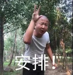 神武日常5开阵容推荐,萌新开荒推荐五星角色