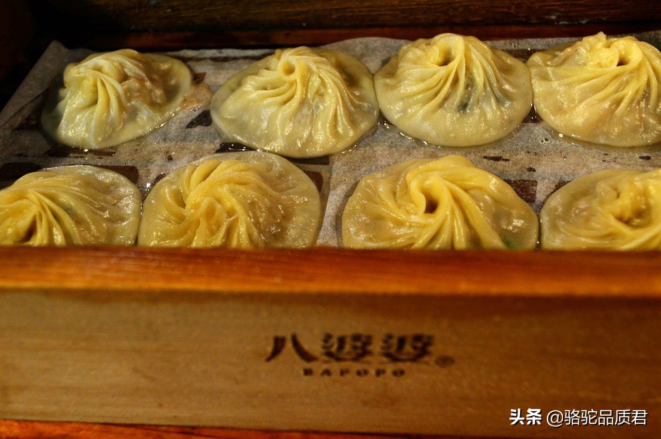 厦门海边之旅,厦门小众旅游体验