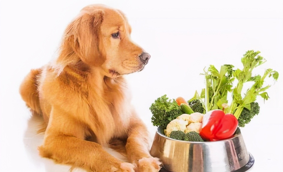 狗狗耳朵被咬伤可以用碘伏吗,狗狗耳朵被咬伤需要打狂犬疫苗吗