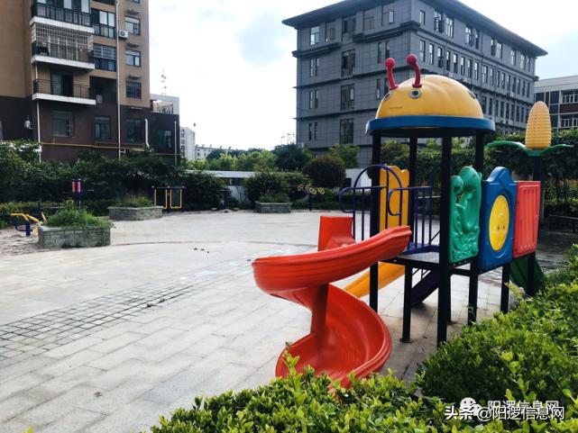 打造一所高端幼儿园,一所高品质的幼儿园