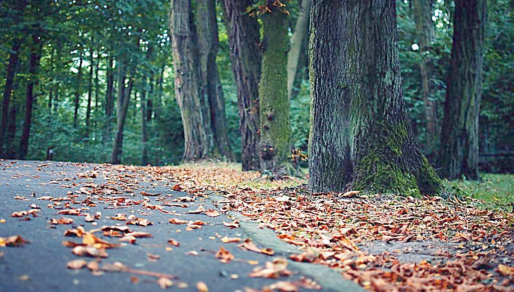 拼多多报名秒杀有什么门槛,拼多多待发货怎么取消