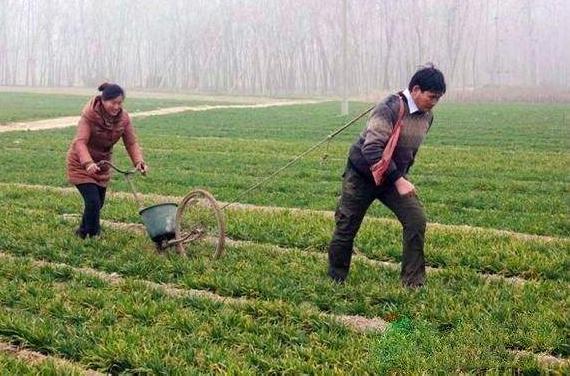 人民日报点名朱之文后续,朱之文被媒体爆料