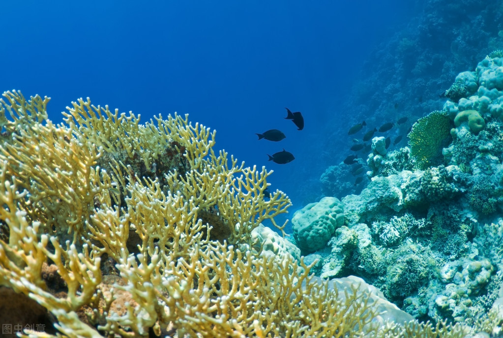 读故事猜字谜一问一答,读故事猜字谜以及答案