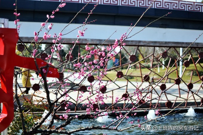 南通狼山一日游详细攻略图,夏天南通狼山一日游详细攻略