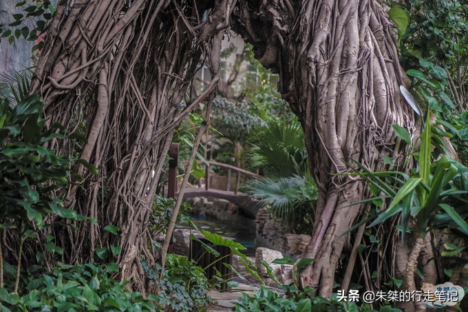 秦皇岛可以泡着玩的海滩,去秦皇岛必游的海滩