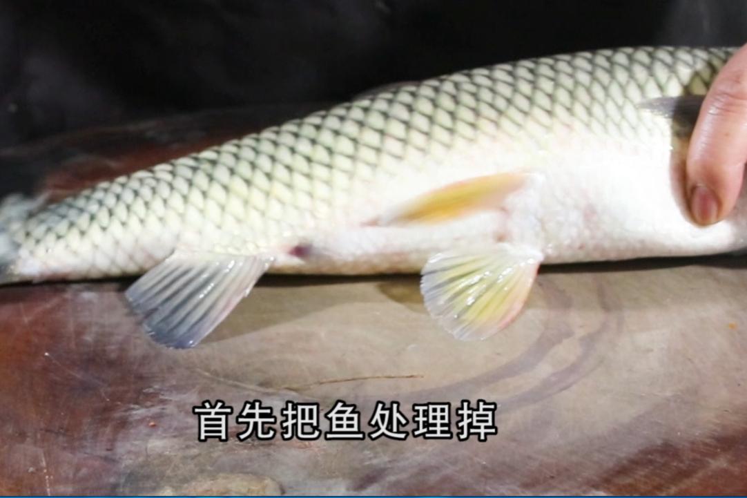 草鱼做汤好吃的做法,草鱼怎么做汤浓肉鲜