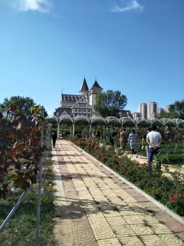 张裕卡斯特景区,张裕卡斯特酒庄游览攻略