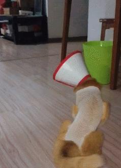 猫狗常用药品大全,猫狗必备药