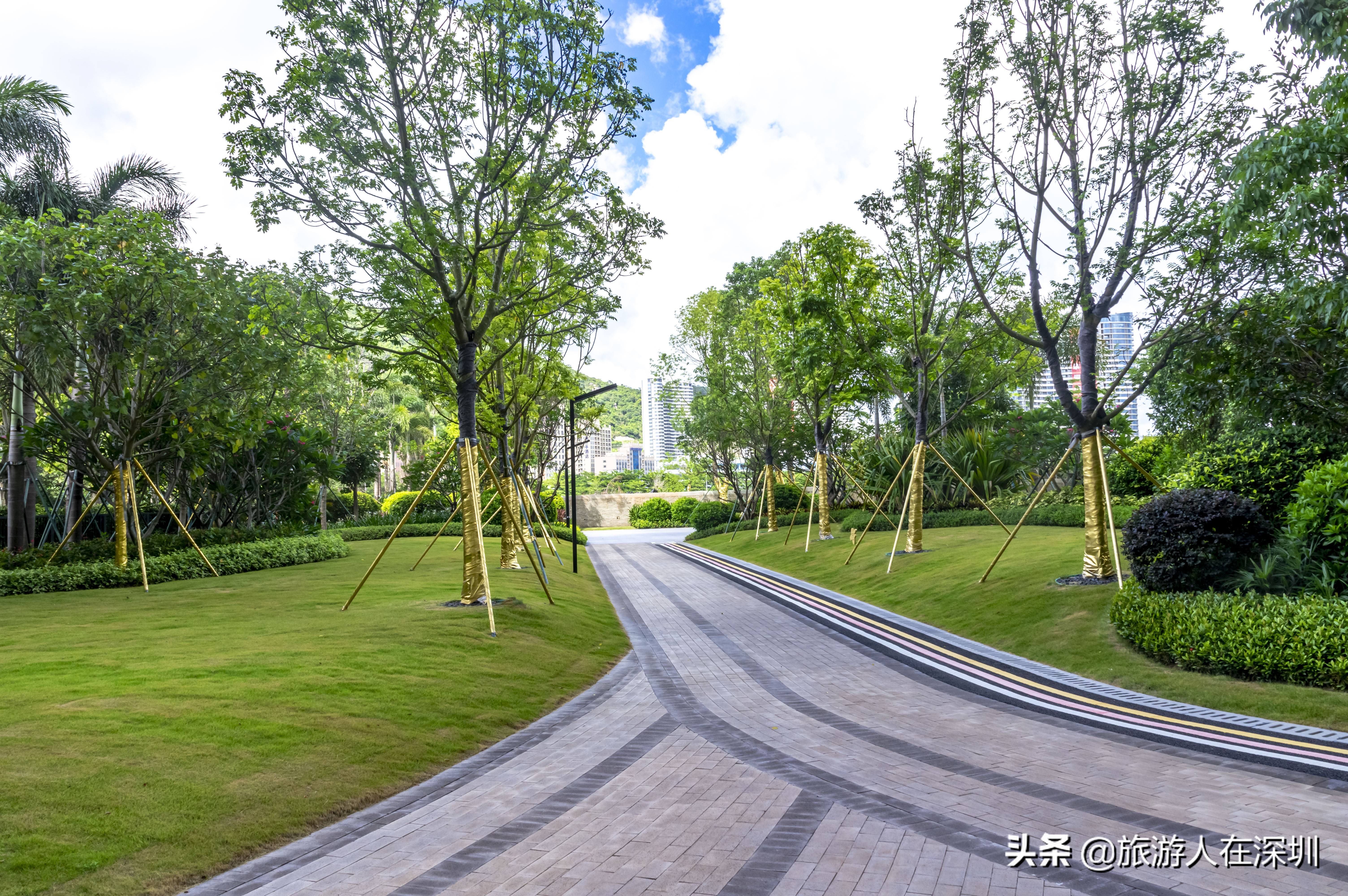 巽寮湾妙之旅海景度假公寓,巽寮湾天后宫海景公寓