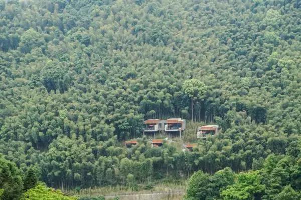 遗世独立的隐居酒店，大自然的馈赠——宁海安岚酒店