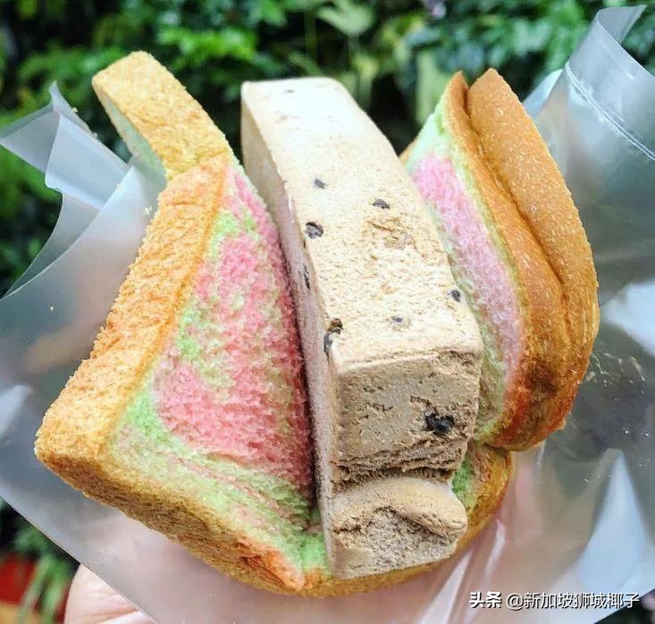 新加坡吃不到的食物,去新加坡吃东西发现没有美食