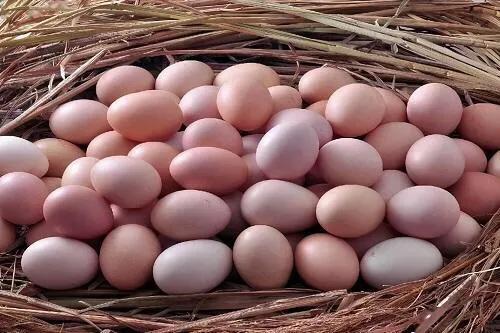 无用但有趣的小玩意,无用的小知识