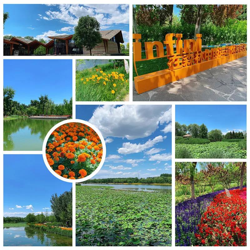 畅游通州大运河！神舟国旅携手103.9交通广播《百姓TAXI》邀请百名“的哥的姐”欢乐家庭游！