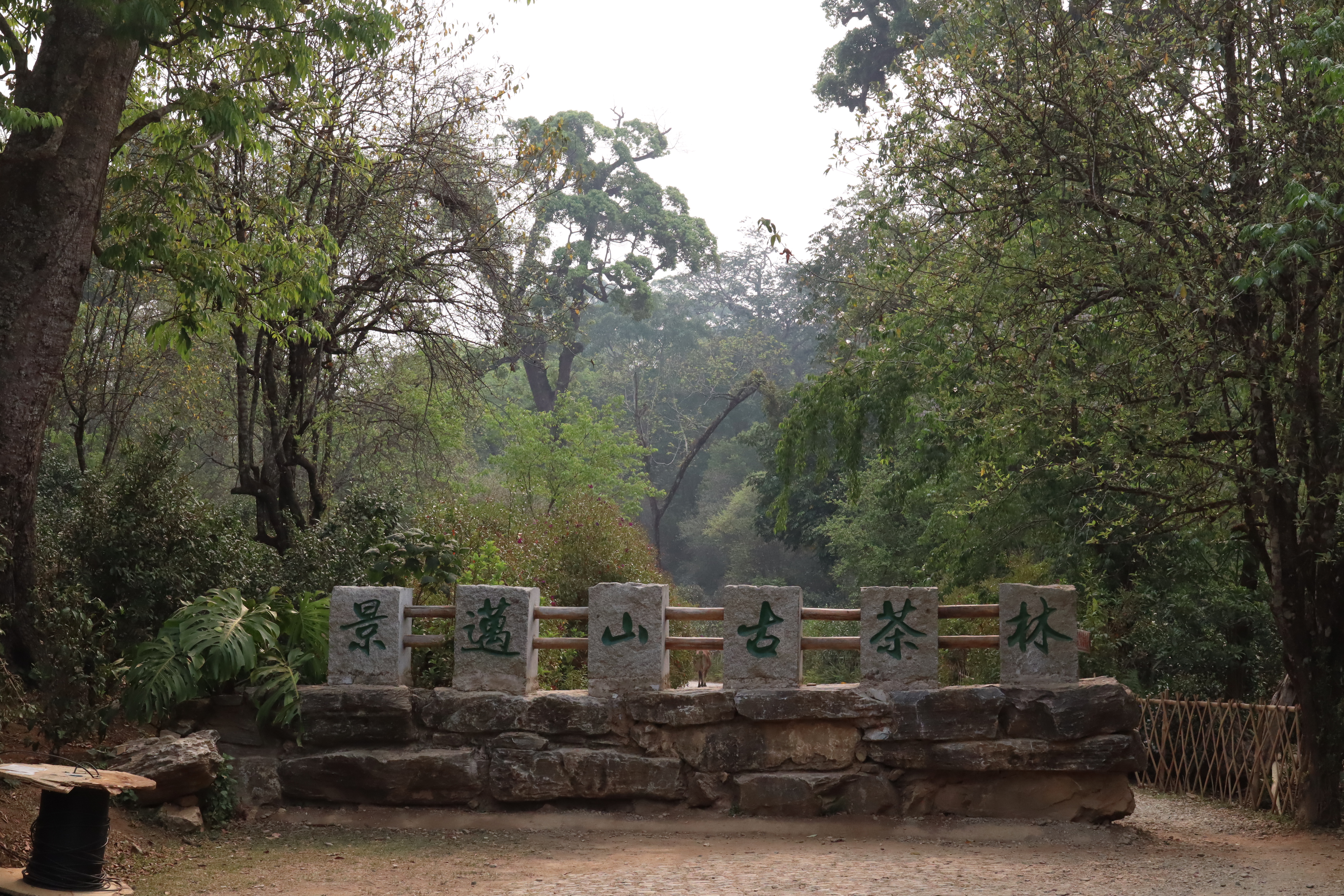 新六大茶山指哪六座山,新六大茶山是哪些