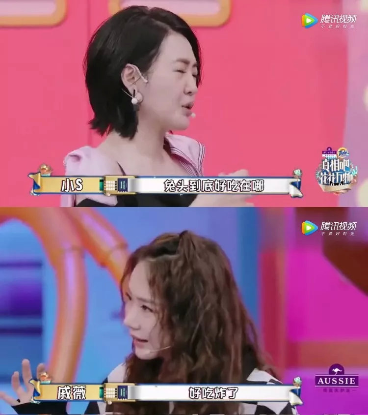 四川兔子死亡率,兔兔终结者