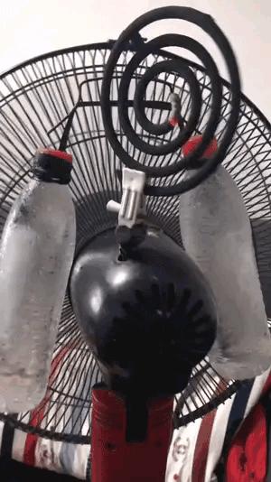 生物老师是女的,生物老师是个女的