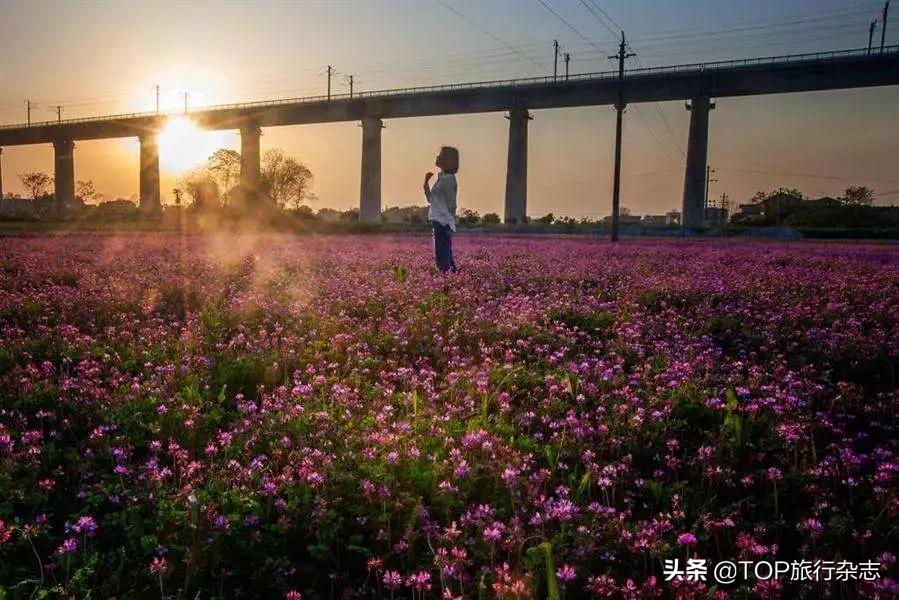 长沙竟隐藏着这些世外桃源,其实长沙还藏着很多小众景点