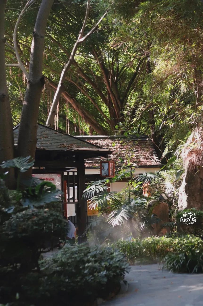 南宁花海公园在哪里,南宁嘉和城附近花海