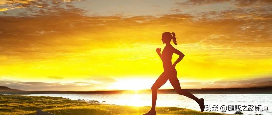 中医把经络血管比作什么,中医把人体比作锅