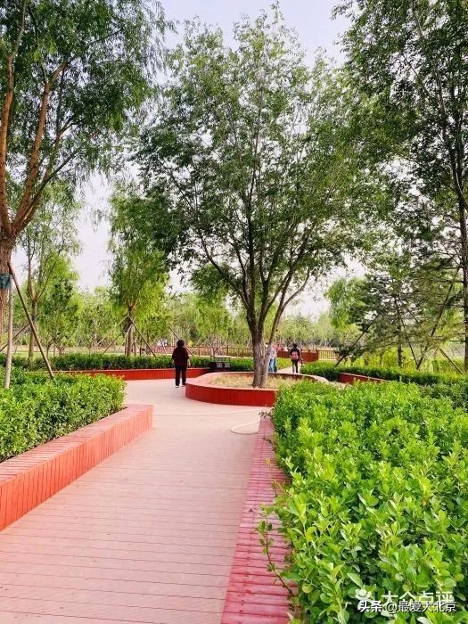 京城新增一“小江南”！免费人少