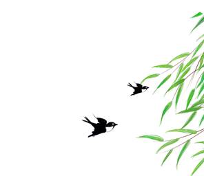 青芽甘露：一杯竹叶青，尽显君子情