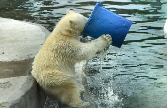 禁食三天只喝水身体的变化,多久不喝水对身体有危害
