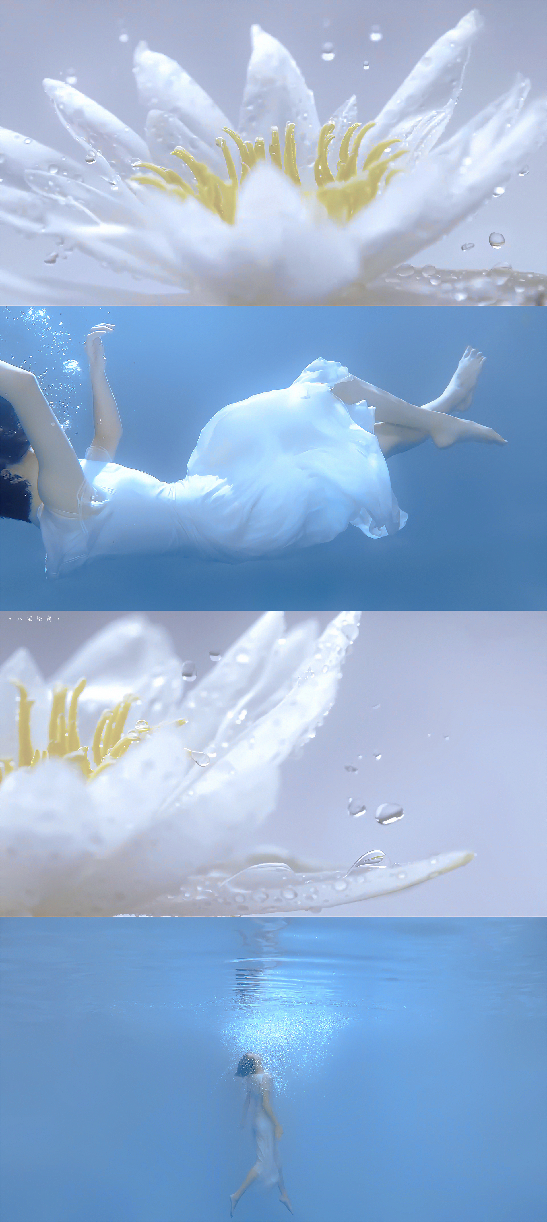 刘诗诗上海参加相宜本草活动图片,刘诗诗相宜本草旗袍