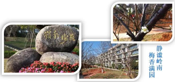 绿海之舟，花园式建筑布局——中山大学附属第三医院岭南医院设计