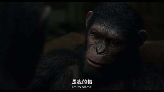 问谁主沉浮全文,中国足球亚洲之巅恒大