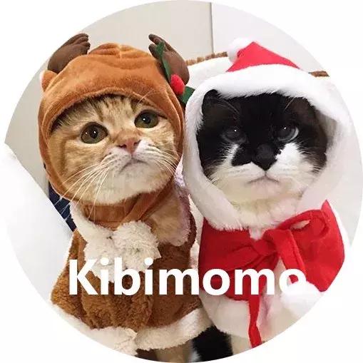 gucci和supreme联名马丁靴,guccisupreme鞋子