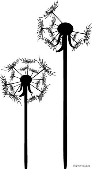 2018海沧中学高一,厦门一中海沧校区入学须知