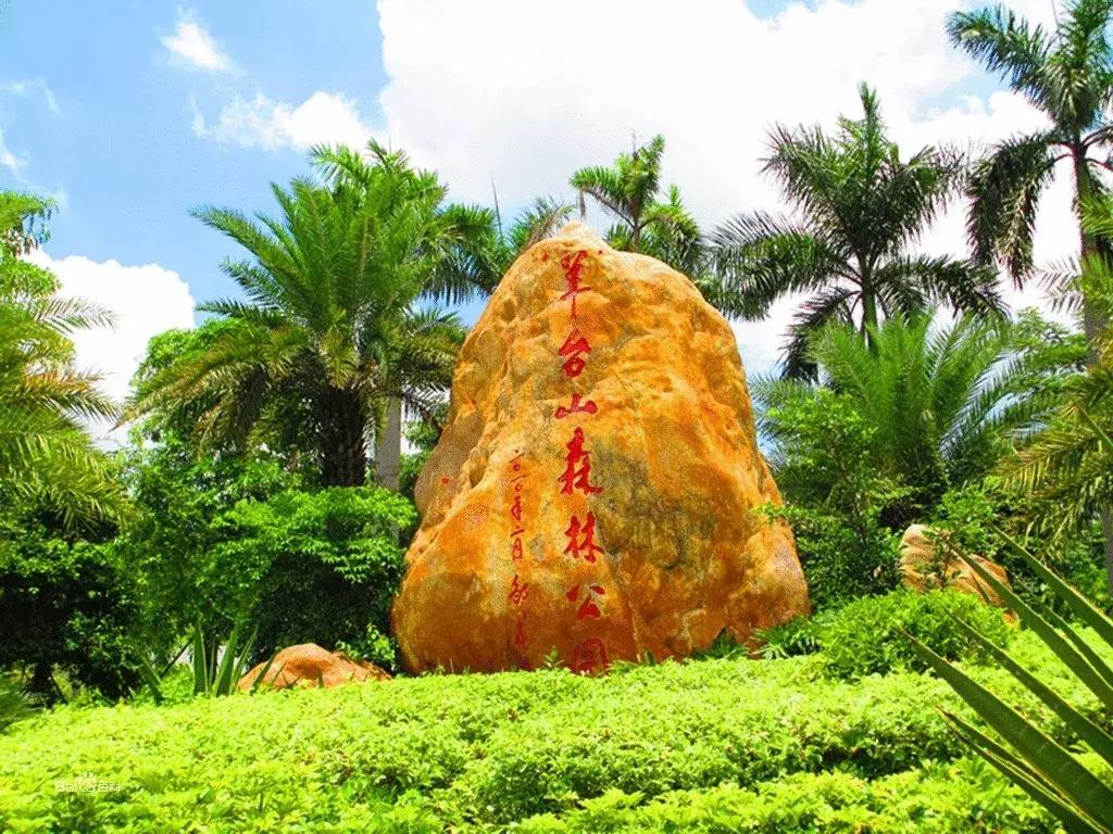 深圳建市四十周年,深圳市建市40周年从什么时候开始