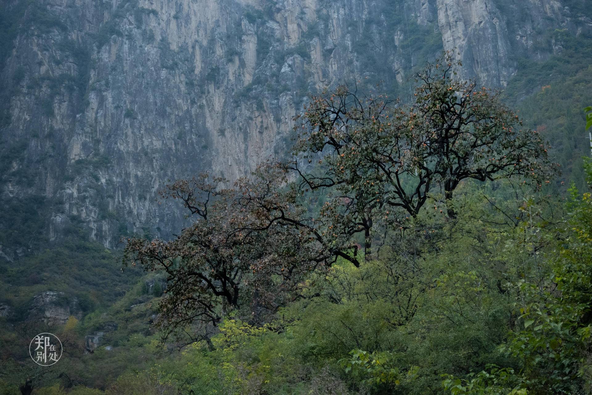 山西太行山攻略,山西太行山古村落自驾游