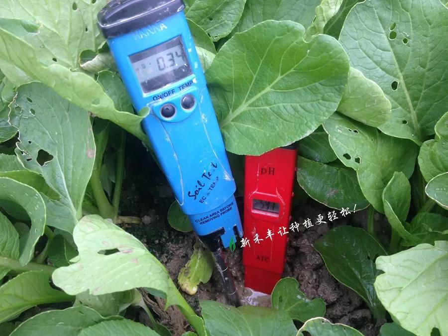 土壤ph值表示酸度改良,土壤酸化怎么调酸度