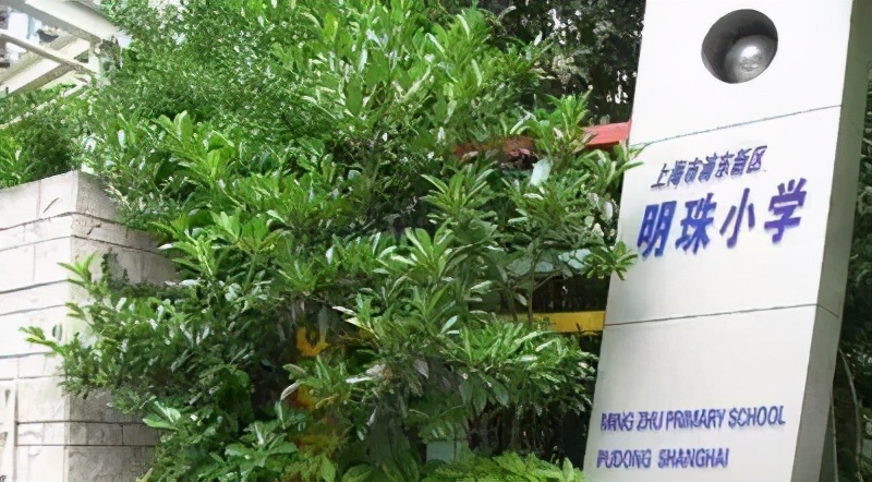 谁是你心目中的top1模板,排名第一的白龙马