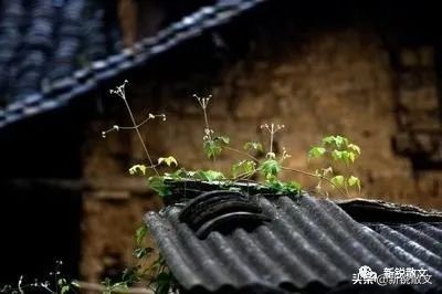 湖北大山里藏着一个大院，大院的大瓦房别致而又富有神秘色彩