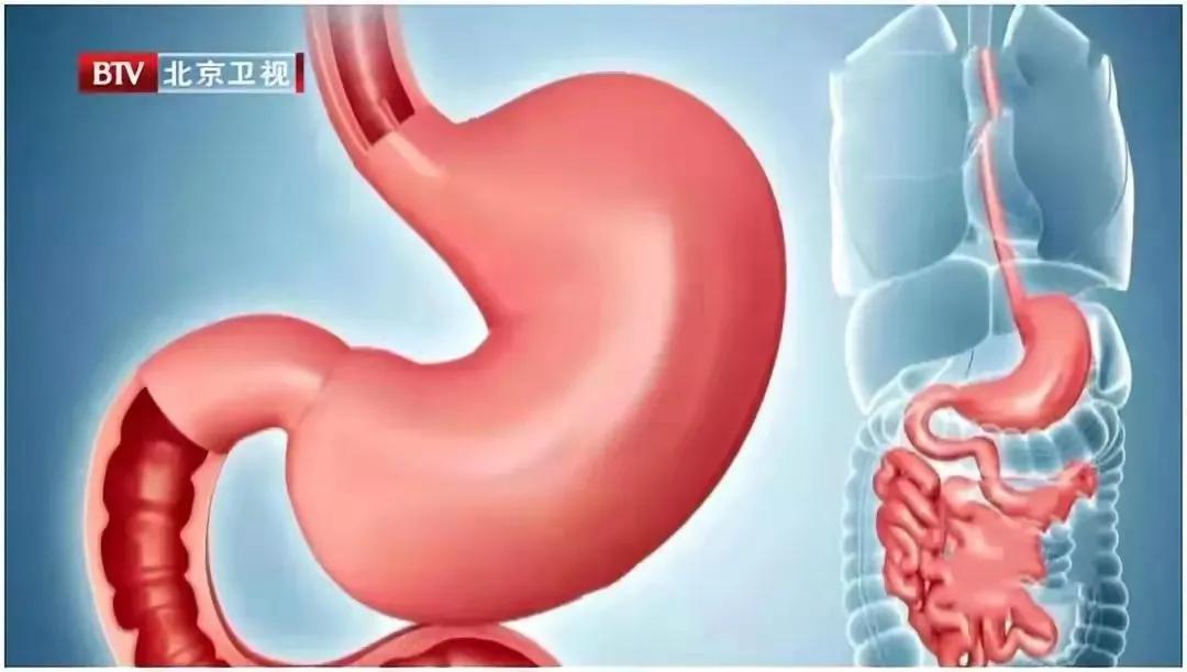 哪些人群需要特别注意补充蛋白质,蛋白质吃多了需要补充什么