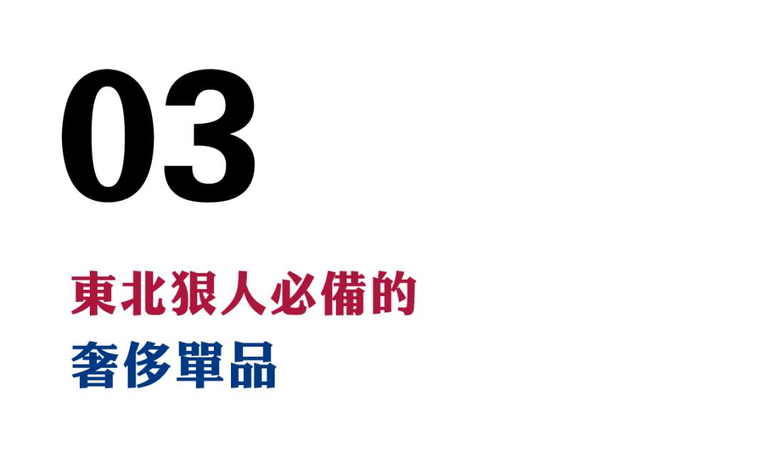 涓滃寳鐙犱汉绯诲垪,涓滃寳鐙犱汉缁忓吀