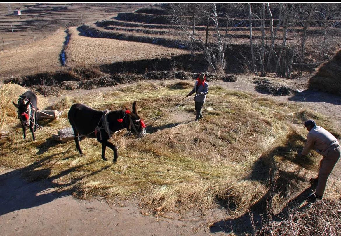 一个70后的自白,80后曾经的小学生活真实写照