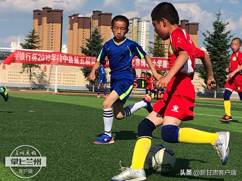 小羊羔当“陪练”兰州大山深处的女孩英国赛场显英豪