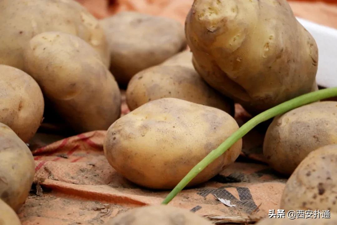 在西安，你一定要逛一次万寿路的早市