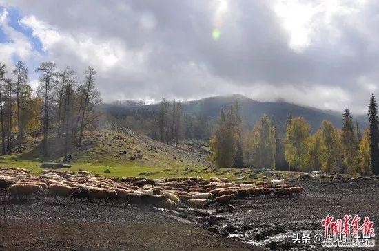 大美新疆欢迎你的视频,大美新疆欢迎你文章