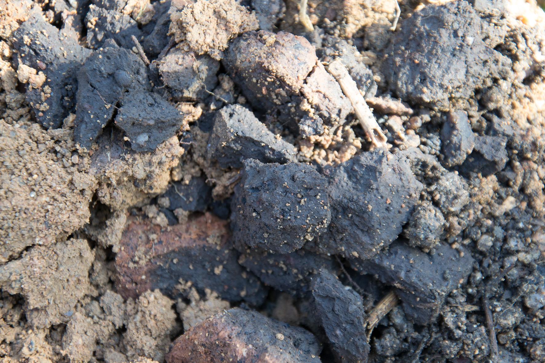 秋施基肥能否不挖坑,苹果树用什么土种植好