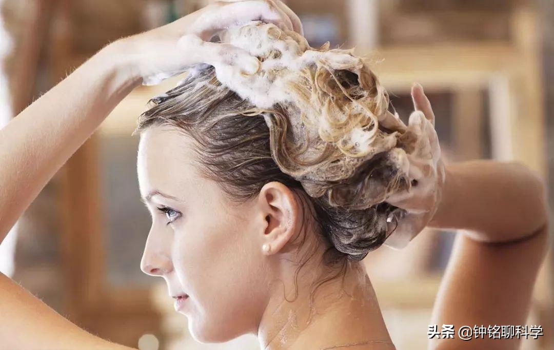 人类虱子的进化史,虱子与人类进化