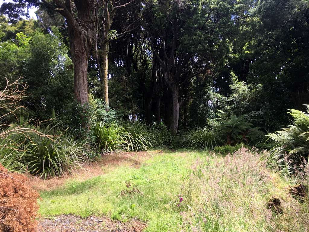 100万人民币在新西兰能买多大房子,100元能在新西兰买些什么