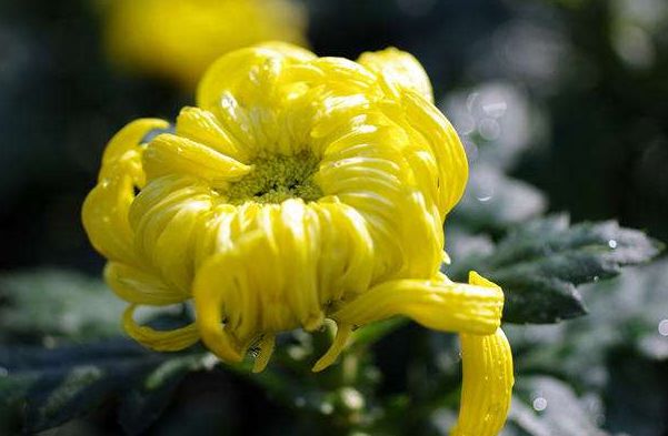 不忍直视！老哥直肠塞进直径7cm广口玻璃杯！这回菊花真的残了